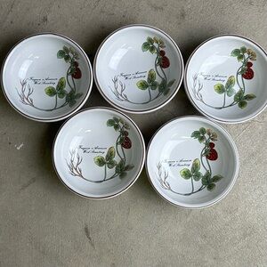 Vintage Botanical Garden Ceramic Bowl Set/5 Strawberry Pattern Korea Farmhouse